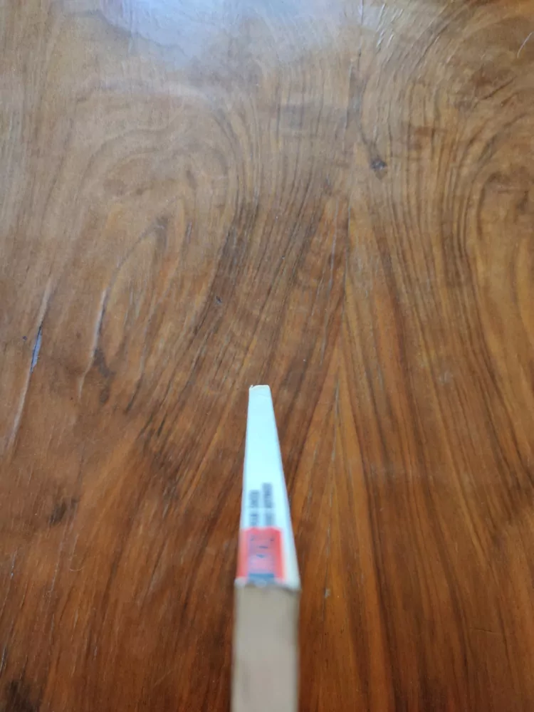 MILAN ŠIMEČKA - Konec nehybnosti