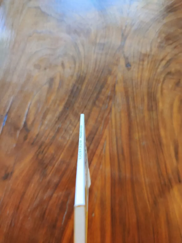 VLADIMÍR ŠKUTINA - Presidentův vězeň