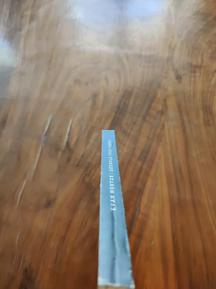 EVAN HUNTER - Džungle před tabulí