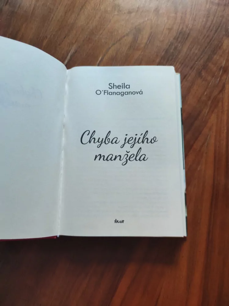 SHEILA O'FLANAGAN - Chyba jejího manžela