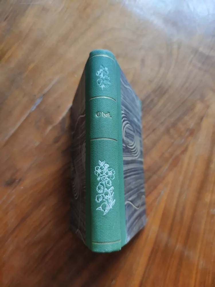 GABRIELE D'ANNUNZIO - Oheň