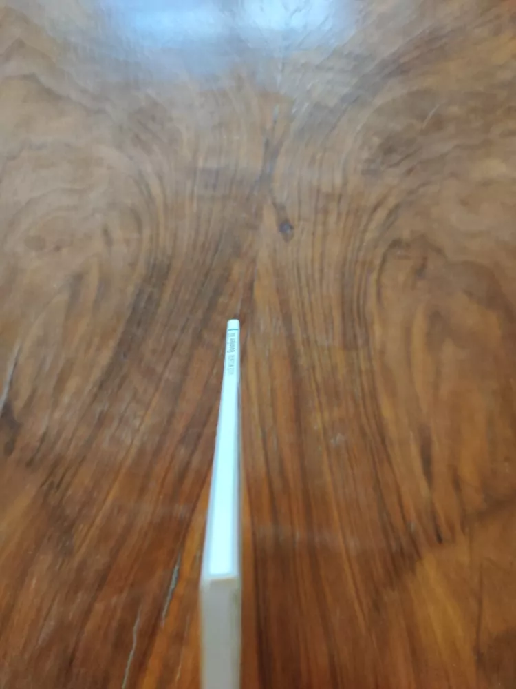 ALICE MILLER - Opomíjený klíč