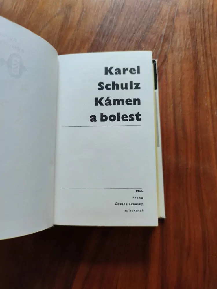 KAREL SCHULTZ - Kámen a bolest