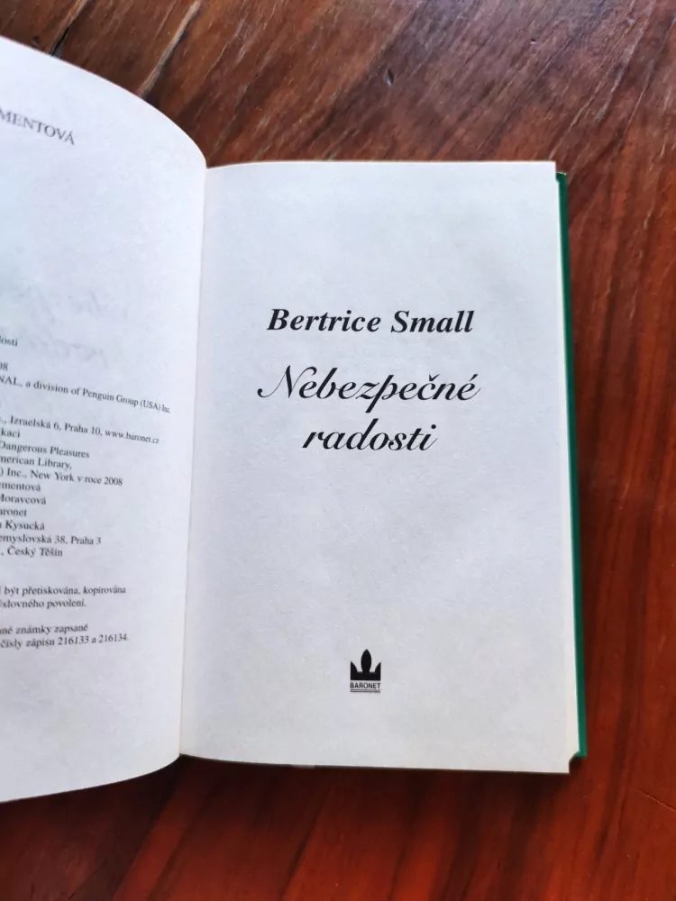 BERTRICE SMALL - Nebezpečné radosti