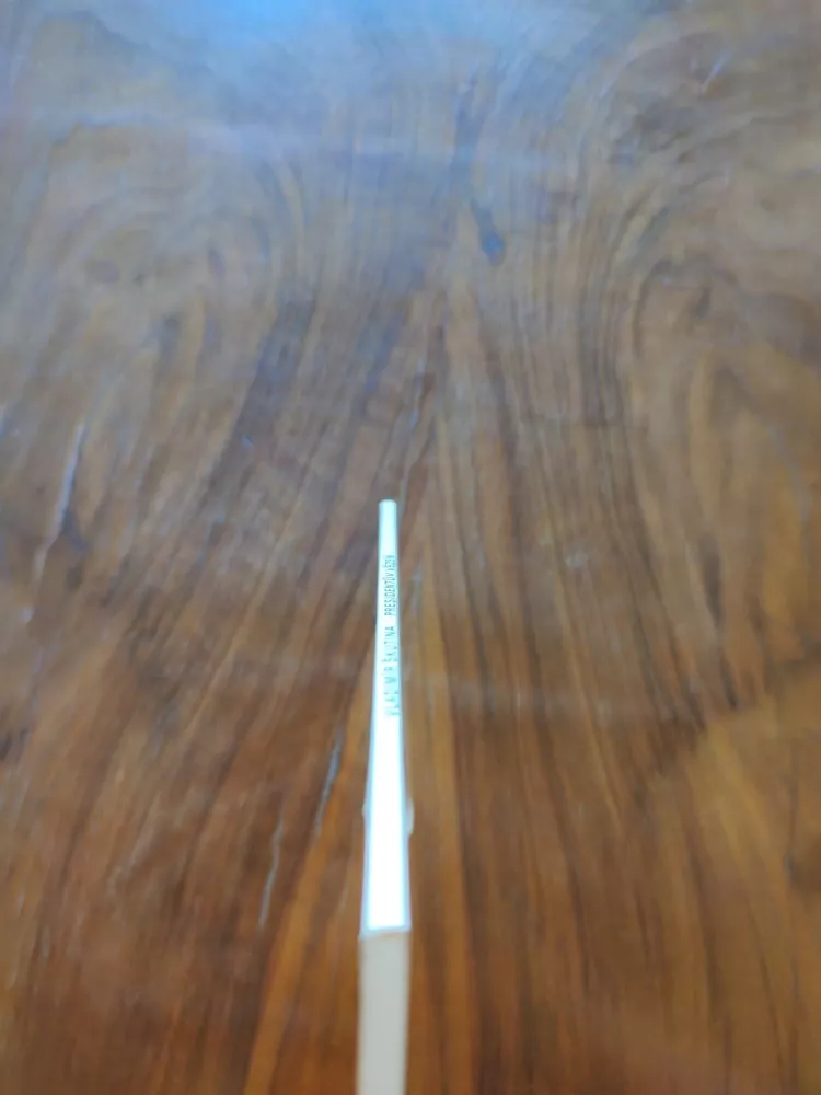 VLADIMÍR ŠKUTINA - Presidentův vězeň