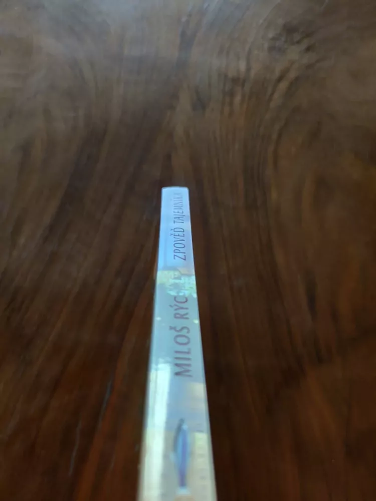 MILOŠ RÝC - Zpověď tajemníka