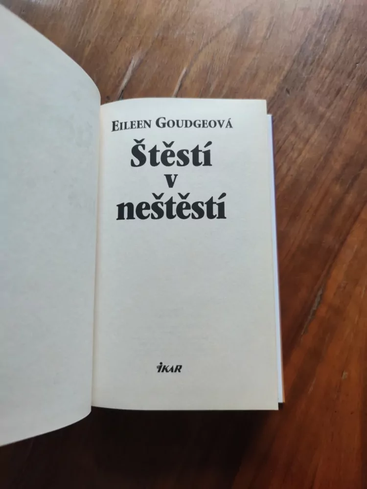 EILEEN GOUDGE - Štěstí v neštěstí