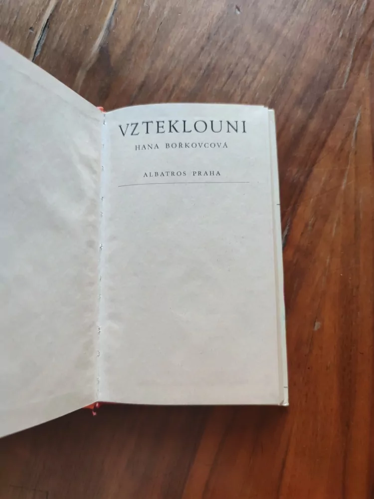 HANA BOŘKOVCOVÁ - Vzteklouni