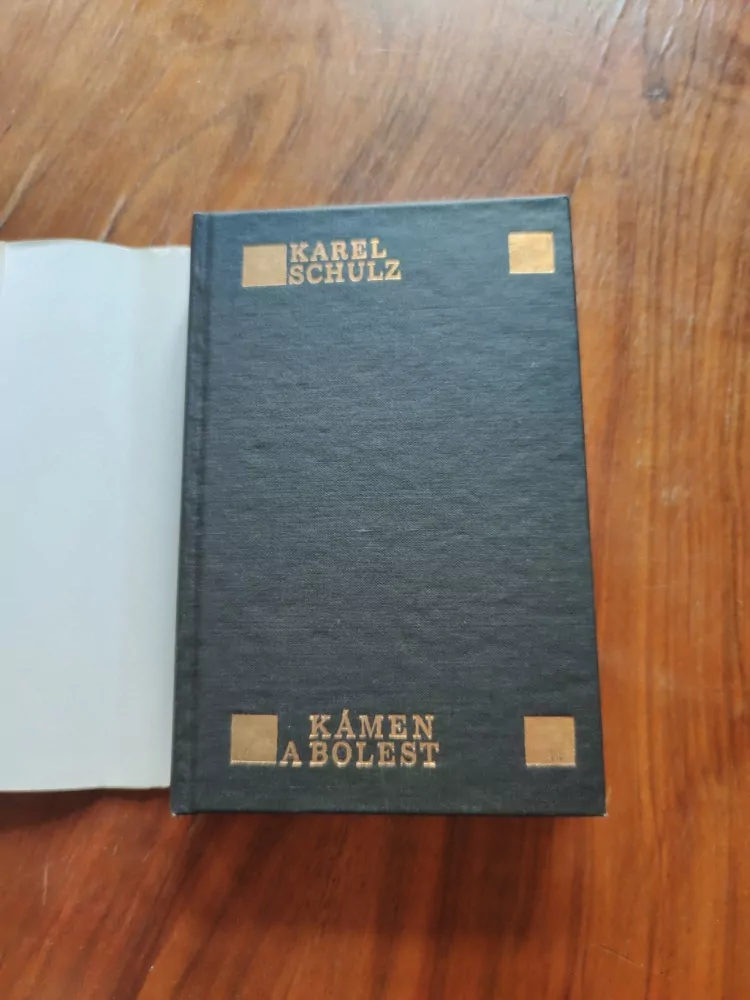 KAREL SCHULTZ - Kámen a bolest