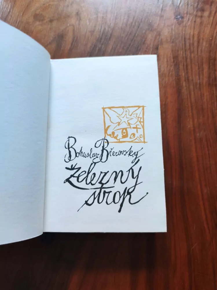 BOHUSLAV BŘEZOVSKÝ - Železný strop