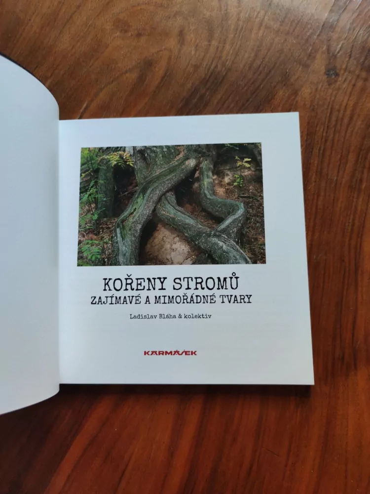 LADISLAV BLÁHA - Kořeny stromů - zajímavé a mimořádné tvary