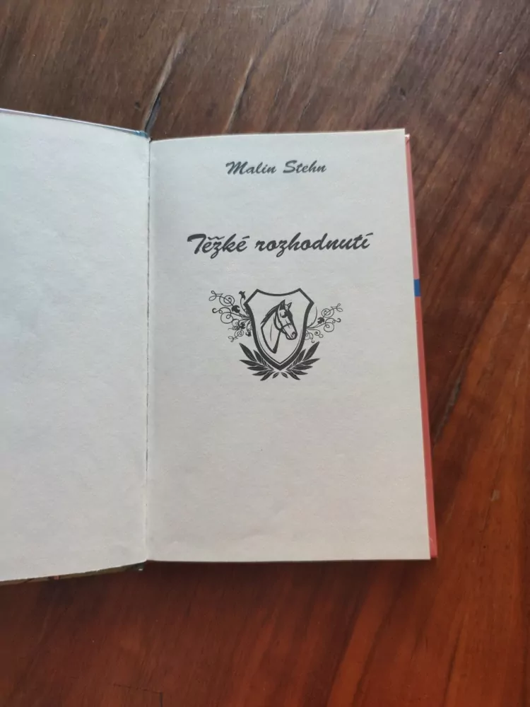MALIN STEHN - Těžké rozhodnutí 2.
