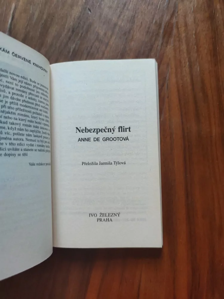 ANNE DE GROOT - Nebezpečný flirt 