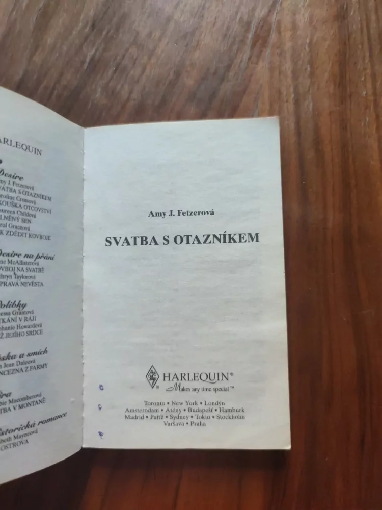 AMY J. FETZER - Svatba s otazníkem