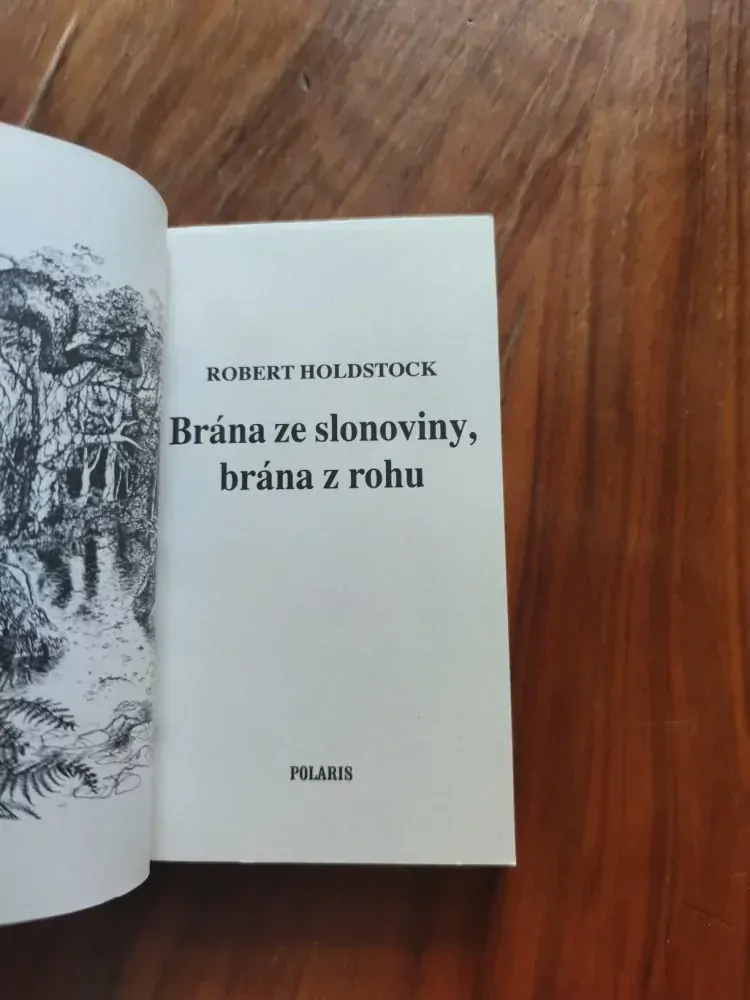 ROBERT HOLDSTOCK - Brána ze slonoviny, brána z rohu