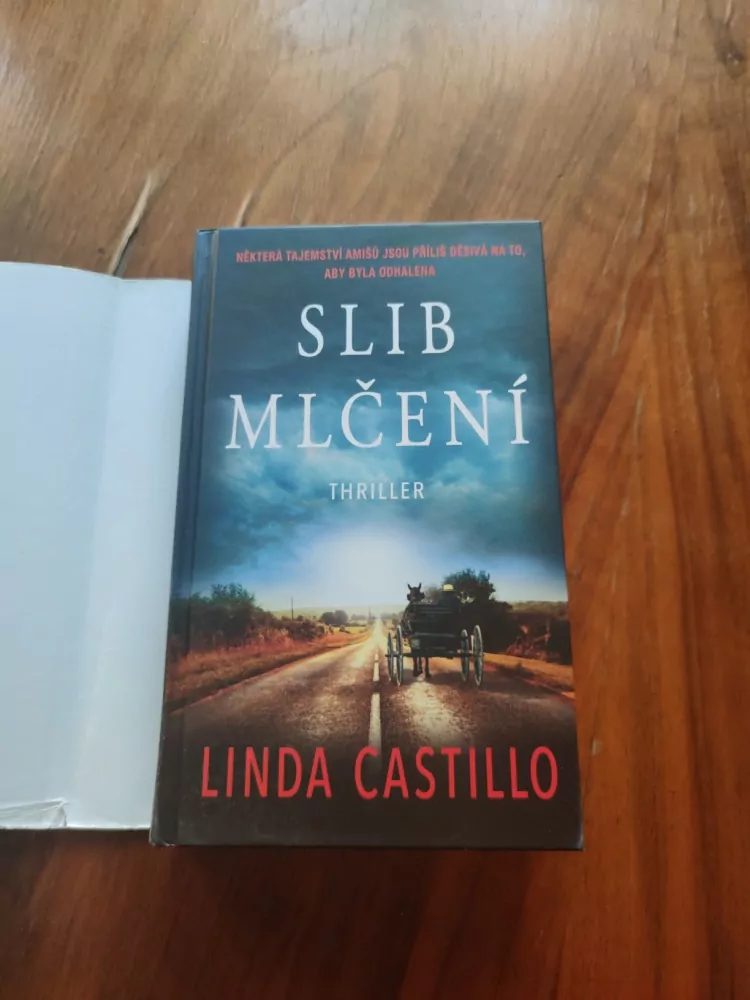 LINDA CASTILLO - Slib mlčení