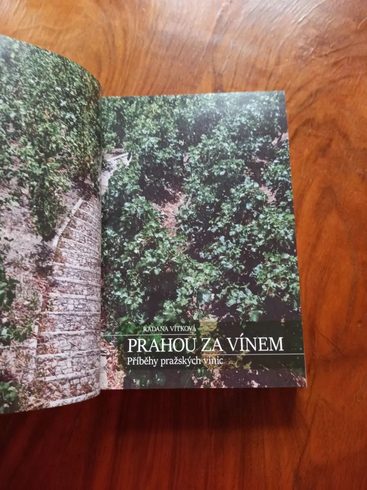RADANA VÍTKOVÁ - Prahou za vínem