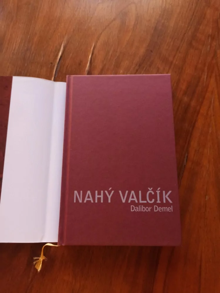 DALIBOR DEMEL - Nahý valčík