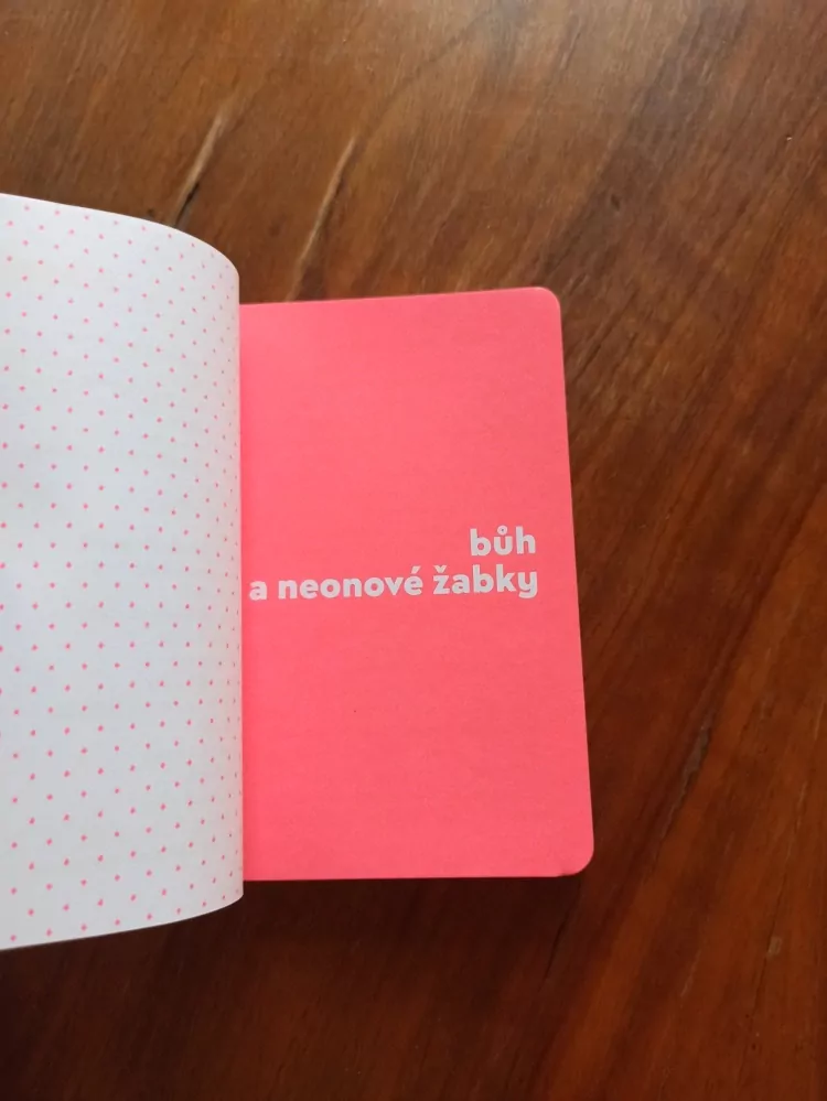 ZUZANA FROŇKOVÁ - Bůh a neonové žabky