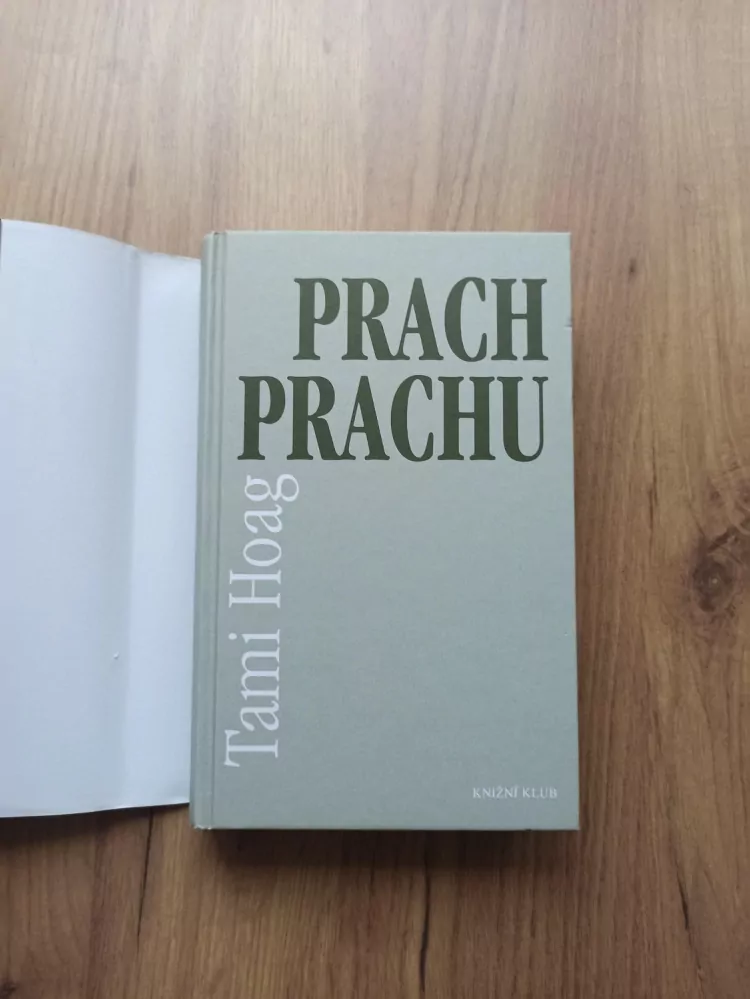 TAMI HOAG - Prach prachu