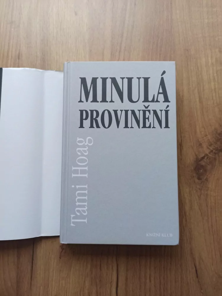 TAMI HOAG - Minulá provinění