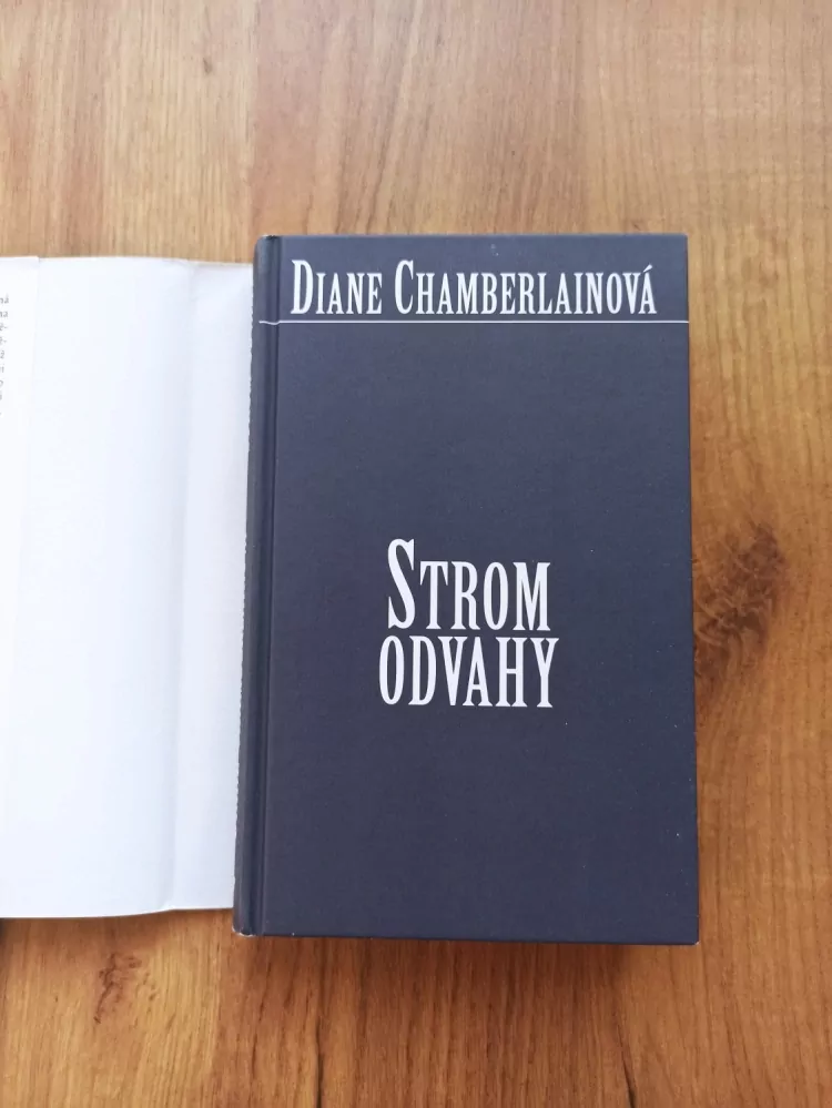 DIANE CHAMBERLAIN - Strom odvahy