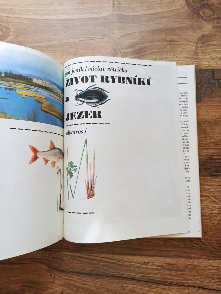 VÁCLAV VĚTVIČKA, JAN JENÍK - Život rybníků a jezer