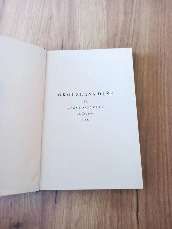 ROMAIN ROLLAND - Okouzlená duše VI.
