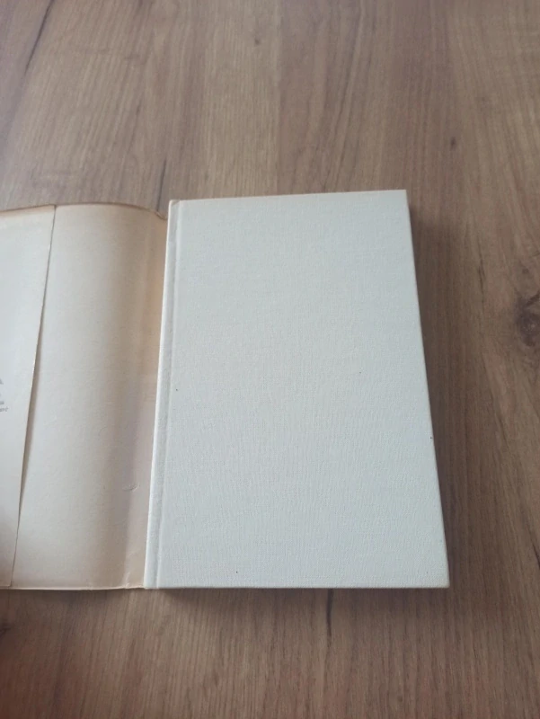 DINO BUZZANTI - Velký portrét