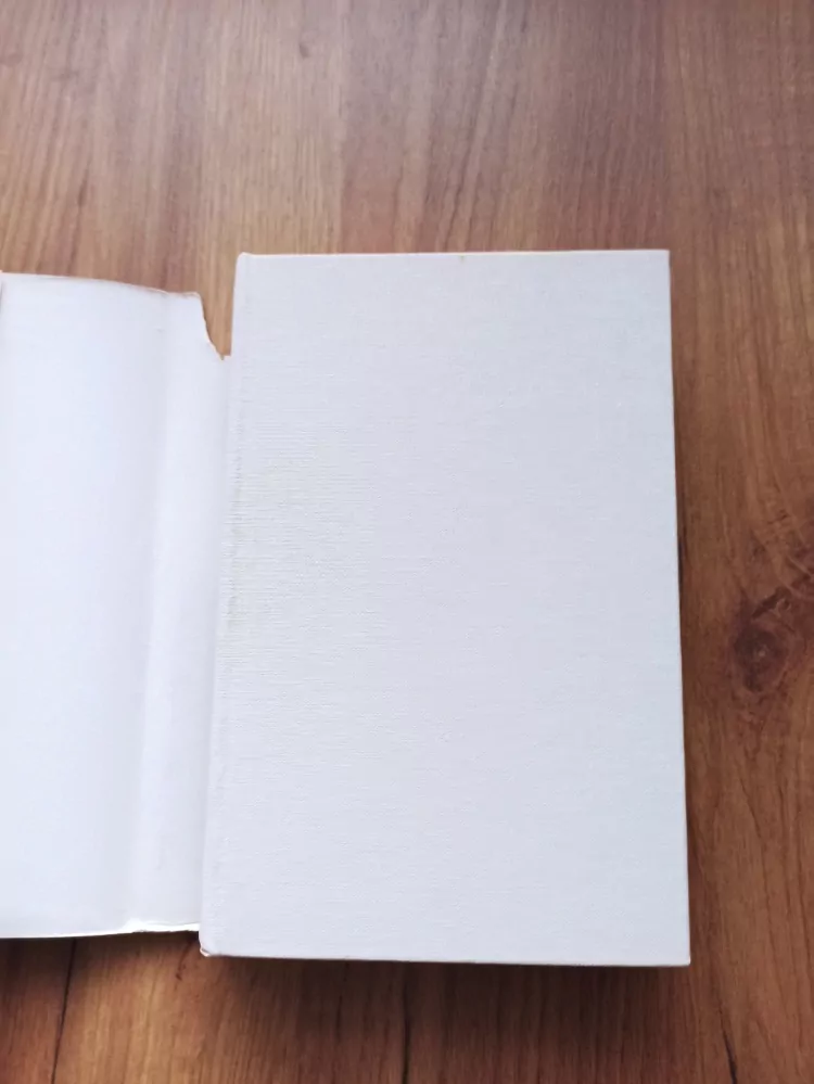 MARIANNE BRUNSOVÁ - Devátý syn Víta Stosse