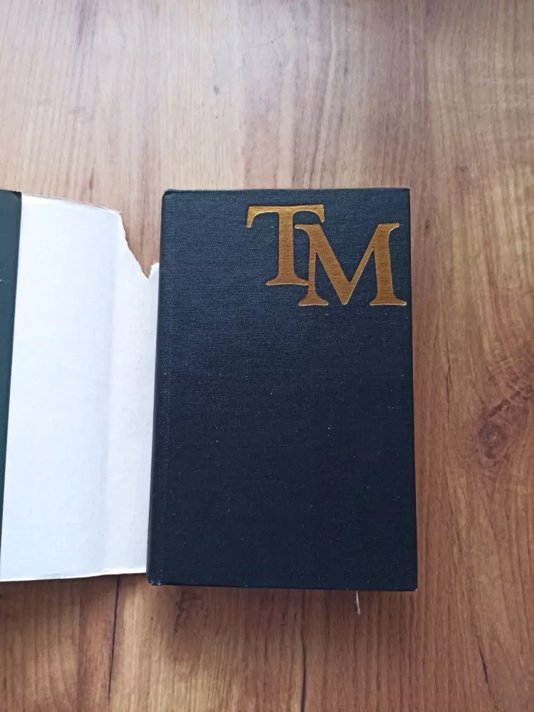 THOMAS MANN - Buddenbrookovi