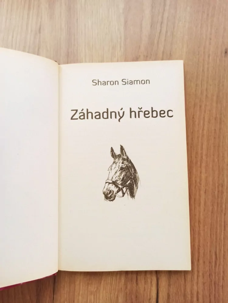SHARON SIAMON - Potok divokých koní 1. - Záhadný hřebec