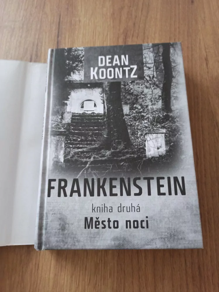 DEAN KOONTZ - Frankenstein. Kniha druhá - Město noci