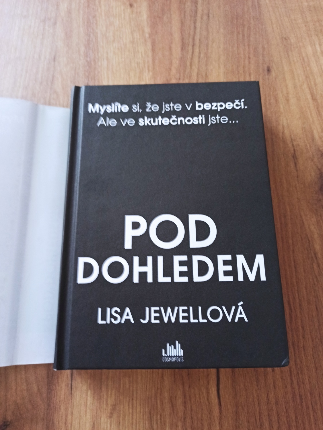 LISA JEWELL - Pod dohledem