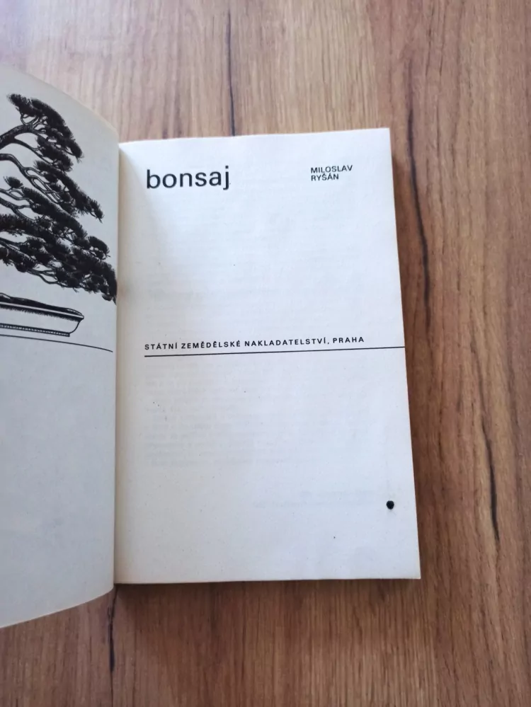 MILOSLAV RYŠÁN - Bonsaj