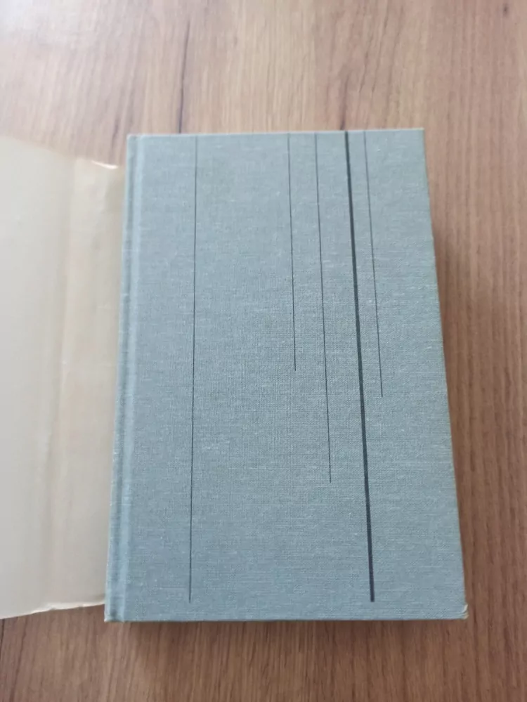JOHN IRVING - Svět podle Garpa