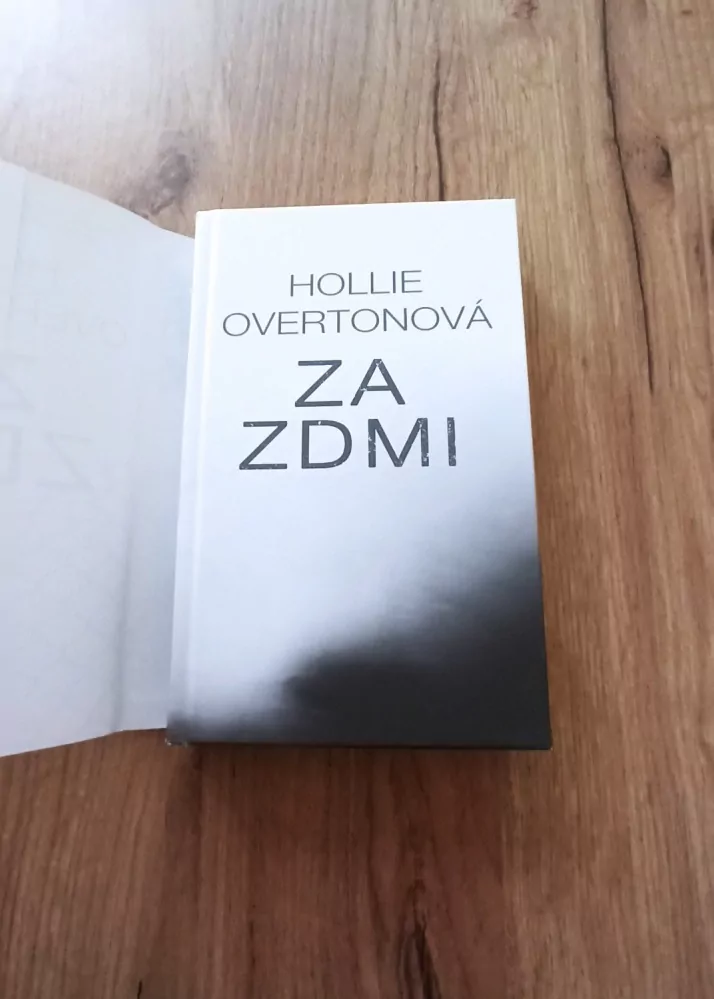 HOLLIE OVERTON - Za zdmi