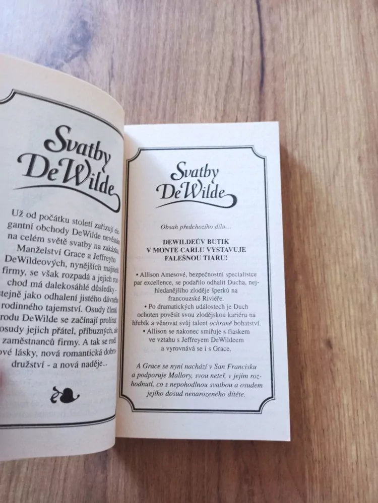 JUDITH ARNOLD - Tajemný cizinec