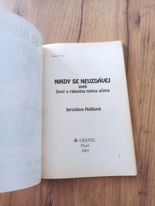 JAROSLAVA HAŠKOVÁ - Nikdy se nevzdávej aneb život a rakovina mýma očima