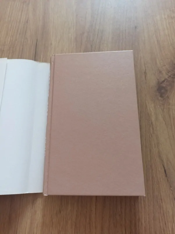 DANIELLE STEEL - Cizí žena