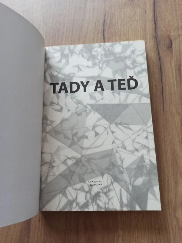 ANN BRASHARES - Tady a teď