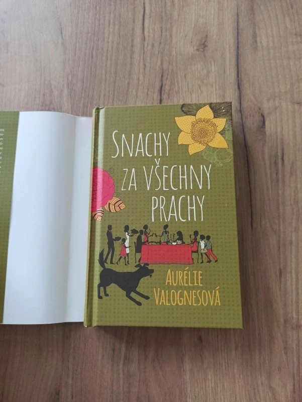 AURÉLIE VALOGNES - Snachy za všechny prachy
