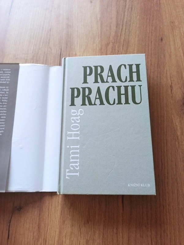 TAMI HOAG - Prach prachu