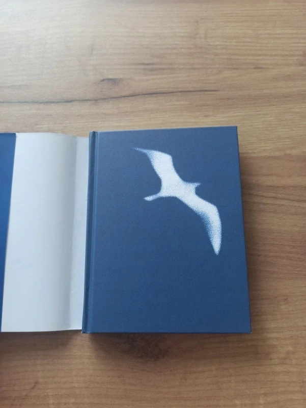 RICHARD BACH - Jonathan Livingston Racek