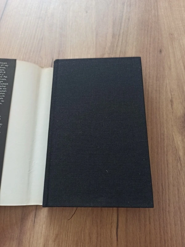 VLADIMÍR PRECLÍK - Dřevěná knížka