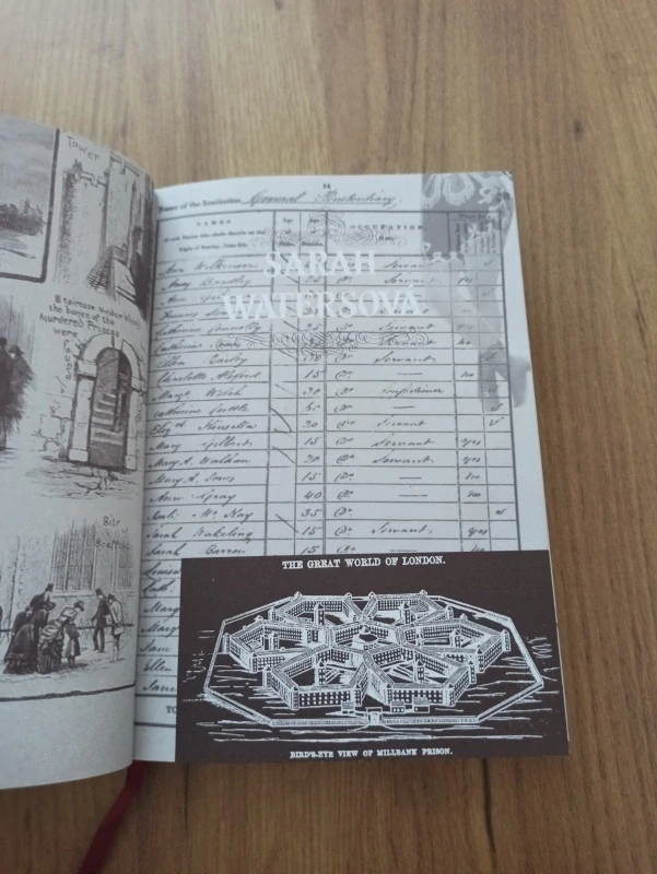 SARAH WATERS - Náklonnost