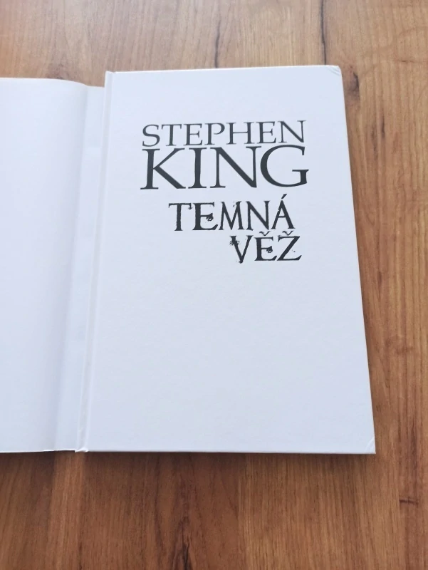 PETER DAVID, STEPHEN KING - Temná věž 2: Dlouhá cesta domů