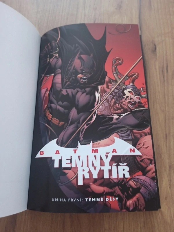 PAUL JENKINS, DAVID FINCH, JUDD WINICK, JOE HARRIS - Batman: Temný rytíř 1. - Temné děsy