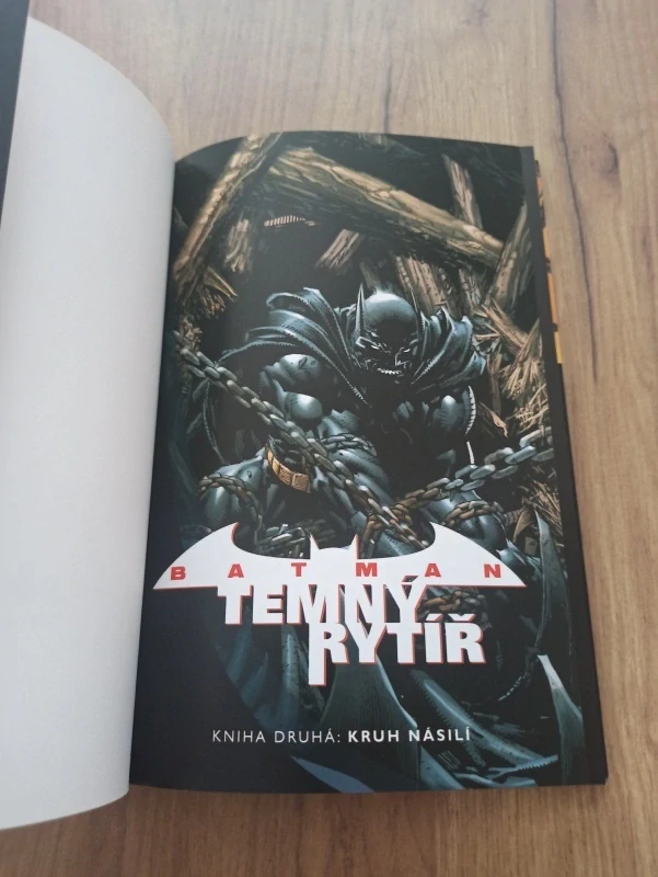 GREGG HURWITZ - Batman: Temný rytíř 2. - Kruh násilí