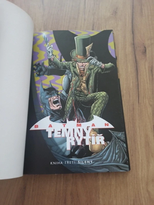 GREGG HURWITZ - Batman: Temný rytíř 3. - Šílený